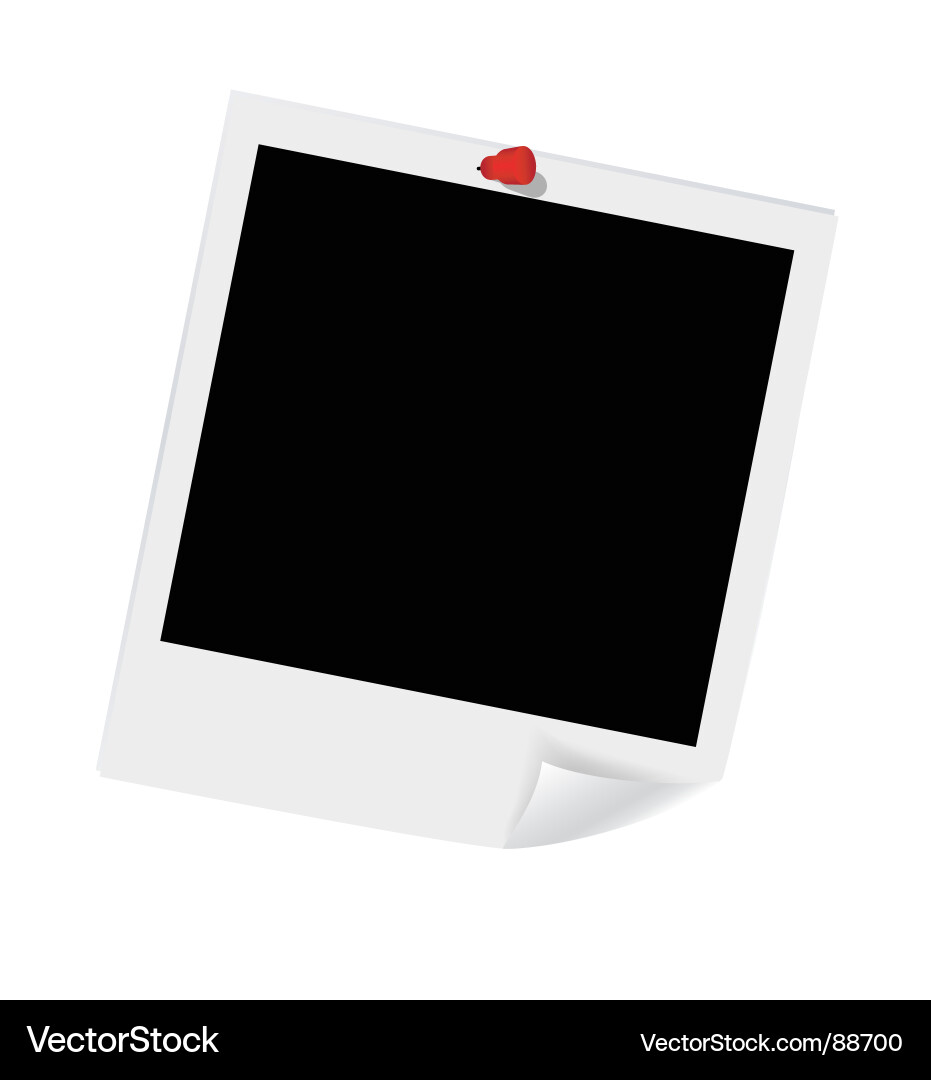 Empty Photo Frames Vector Image