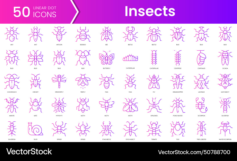 Set of insects icons gradient style icon bundle Vector Image