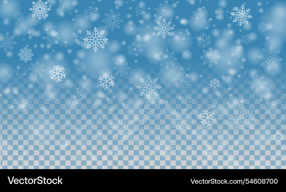 Snowfall and with snowflake transparent vector image
