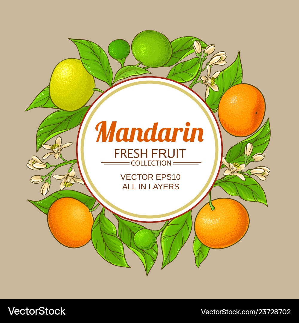 Mandarin branches frame on color background Mandarin branches frame on color background vector image