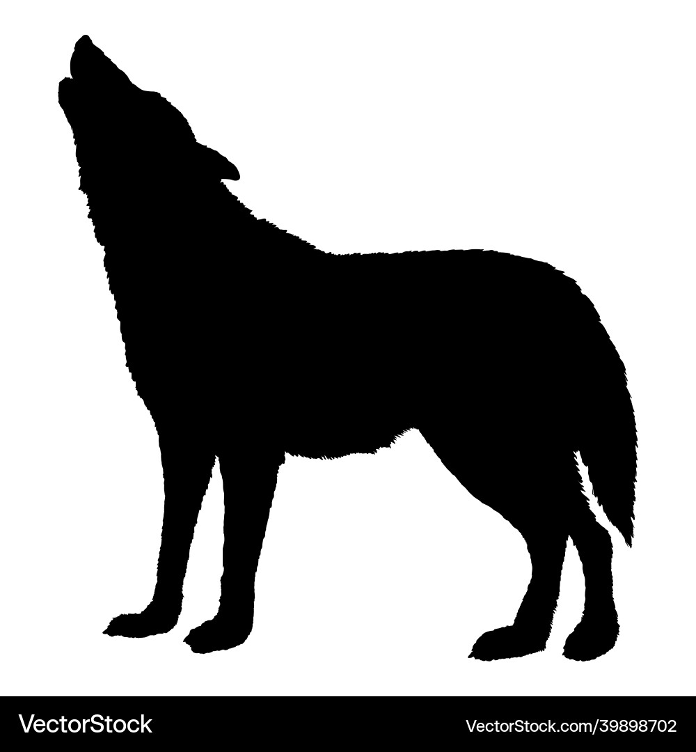Wolf Wieling schwarze Silhouette Wolf Wieling schwarze Silhouette vektorbild
