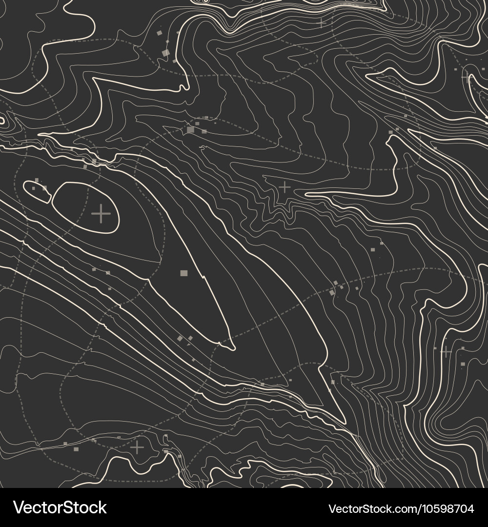 Topographic map background concept with space vector image