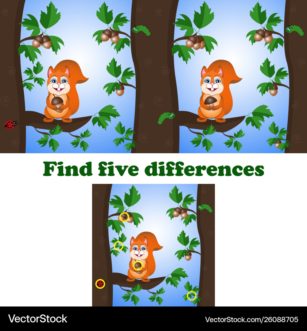 Find Five Differences: Squirrel & Acorn vector image
