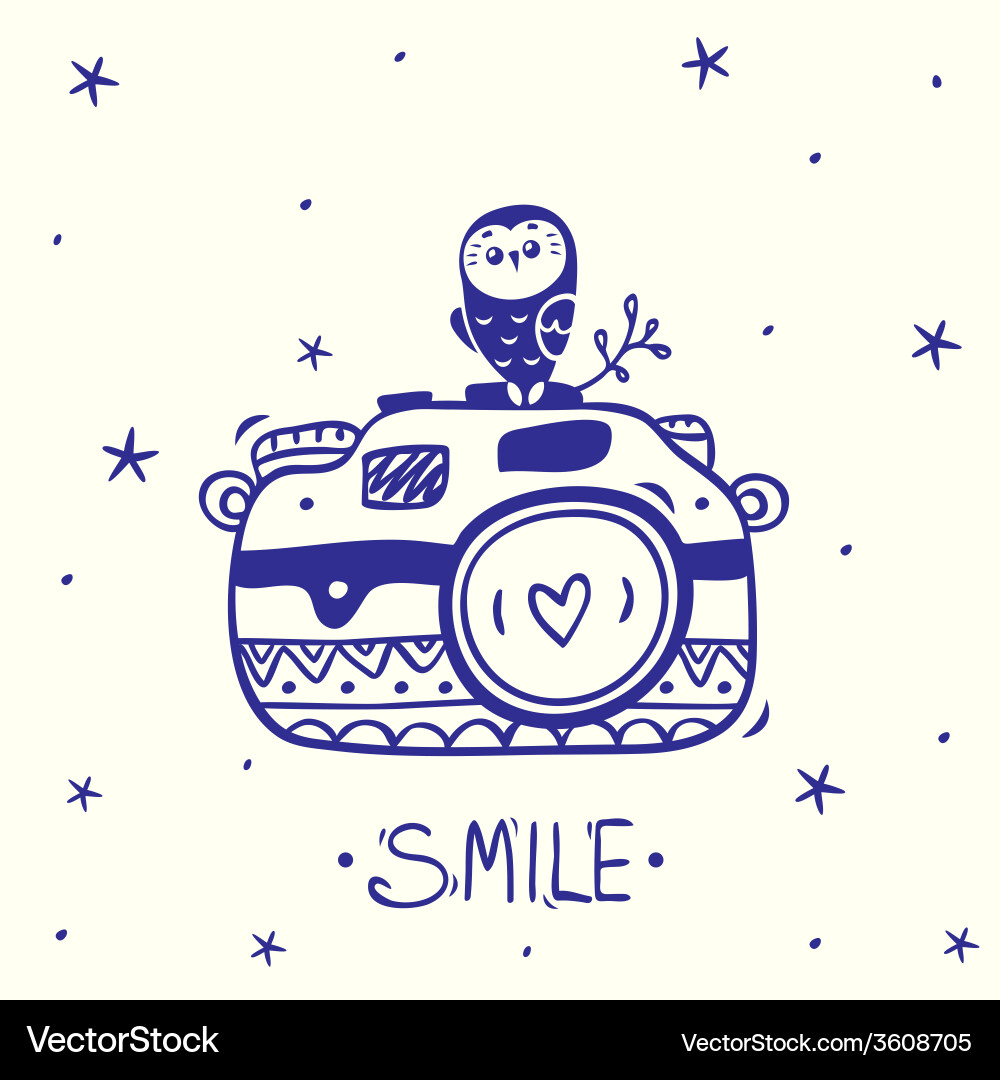 Owl on camera Royalty Free Vector Image - VectorStock