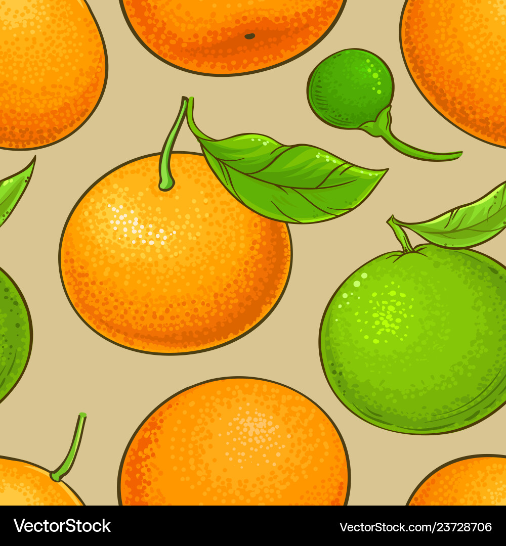 Mandarin fruits pattern on color background Mandarin fruits pattern on color background vector image