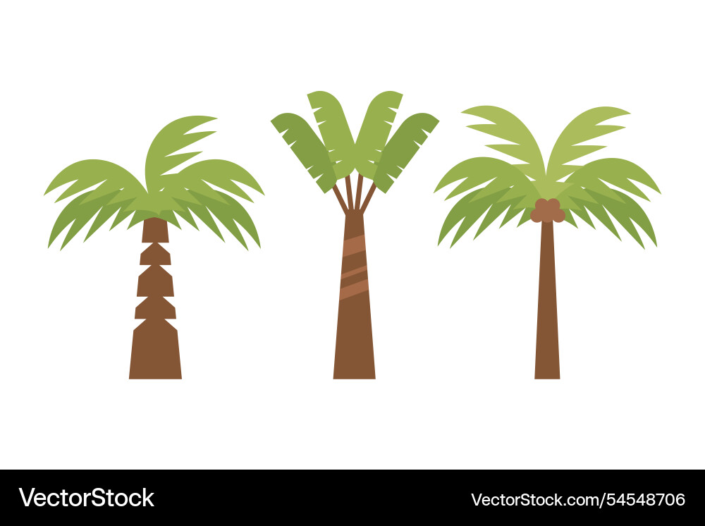 Types of palm tree in flat style design Vector Image