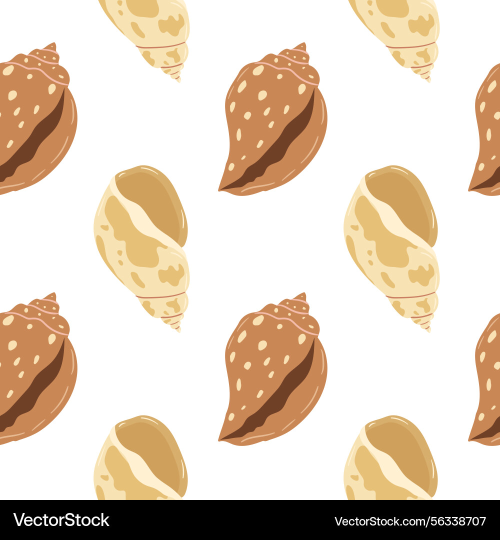 Decorative shell patterns on a white background Decorative shell patterns on a white background Vector Image