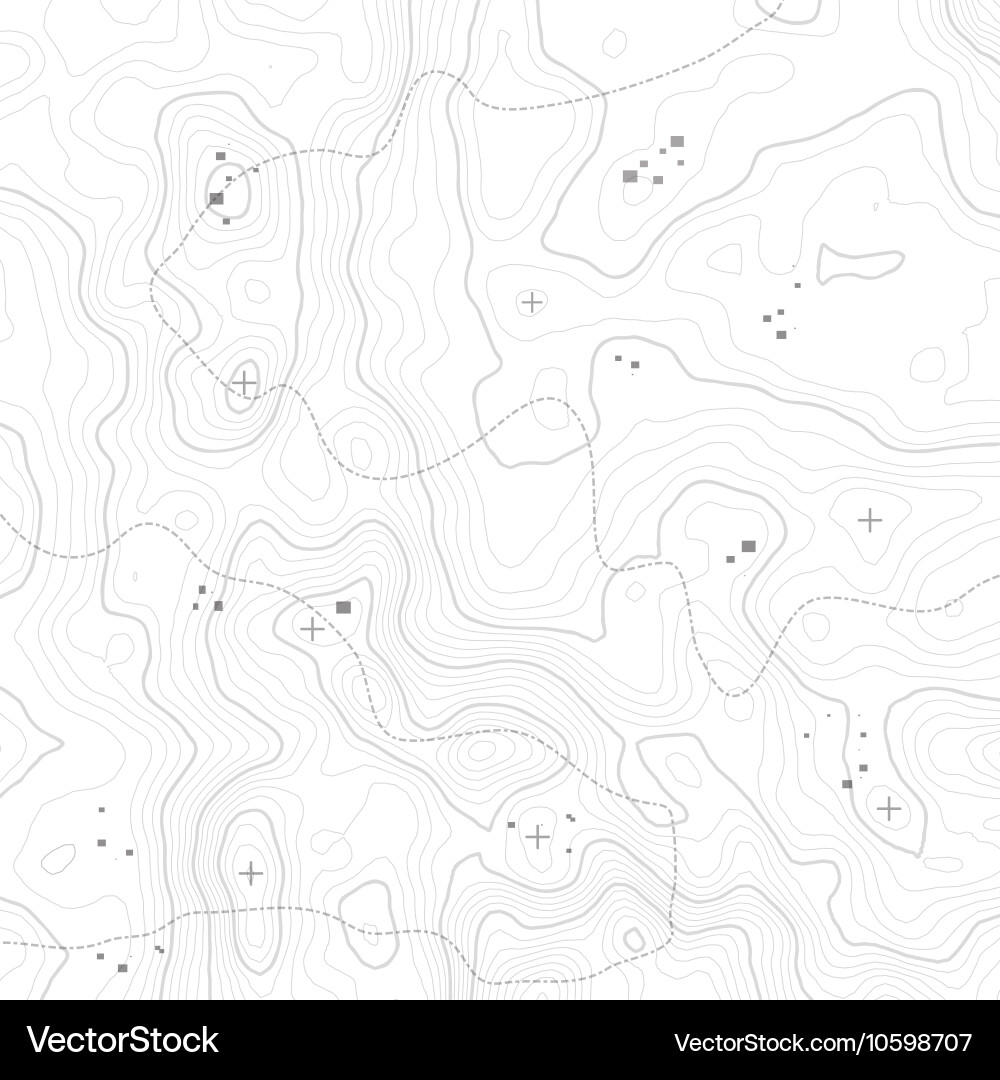 Topographic Map Background Vector Image