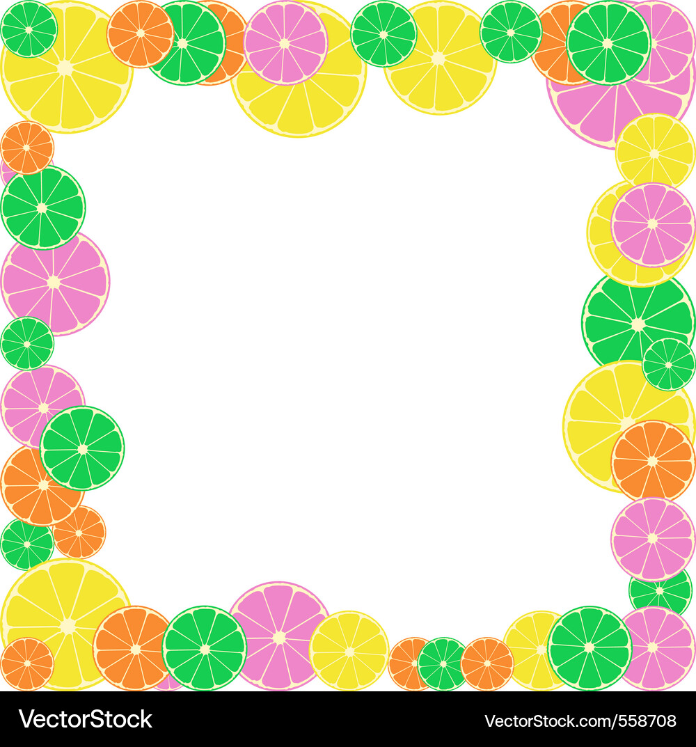 Citrus Slice Border Vector Image
