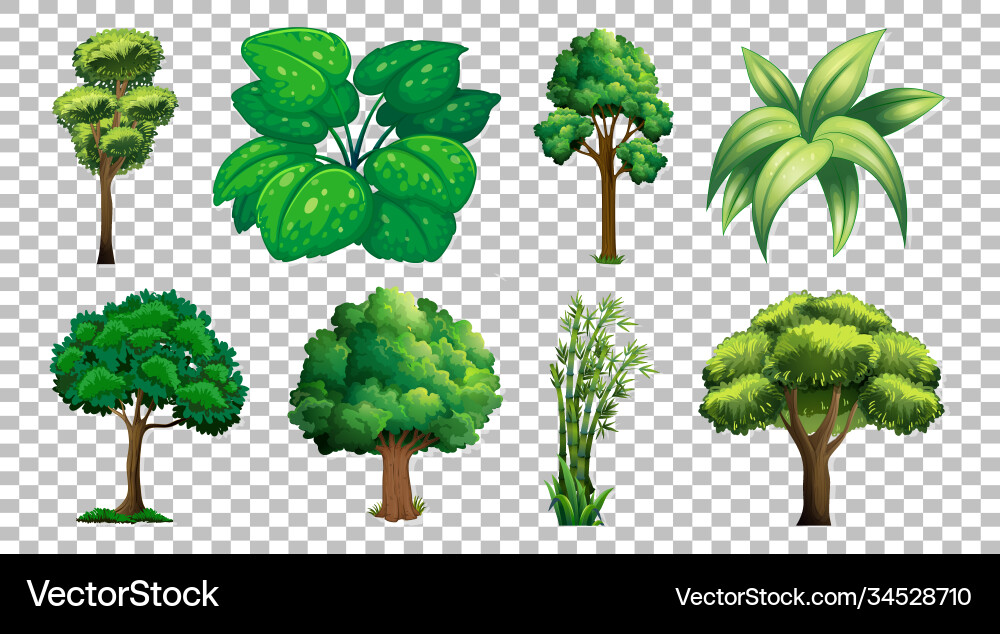 Set tree on transparent background Vector Image