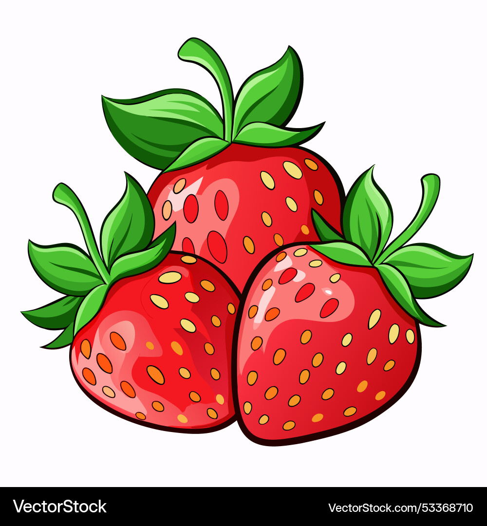 Strawberry fruits Royalty Free Vector Image - VectorStock