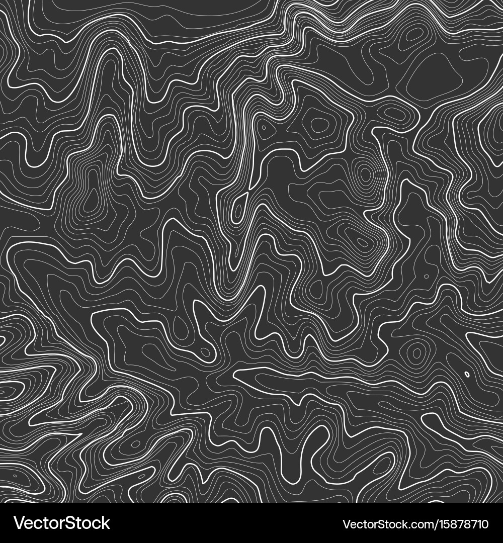 Topographic Map Background - Contour Lines vector image