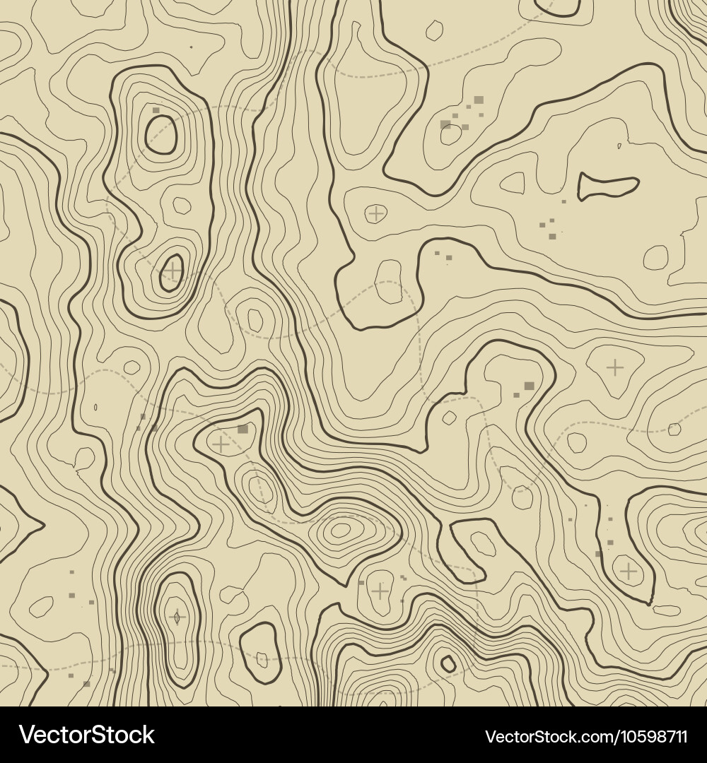 Topographic map background concept with space Vector Image