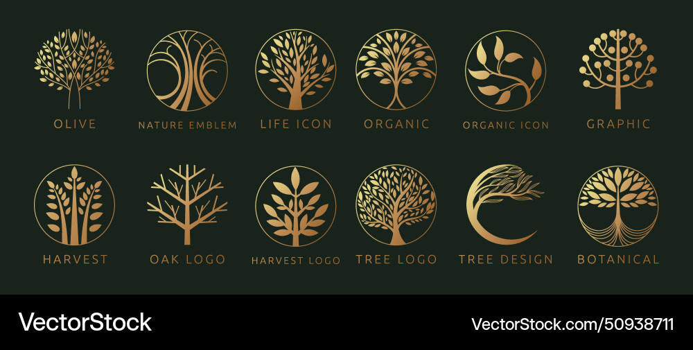Tree logo icon golden plant elements in circle Tree logo icon golden plant elements in circle vector image