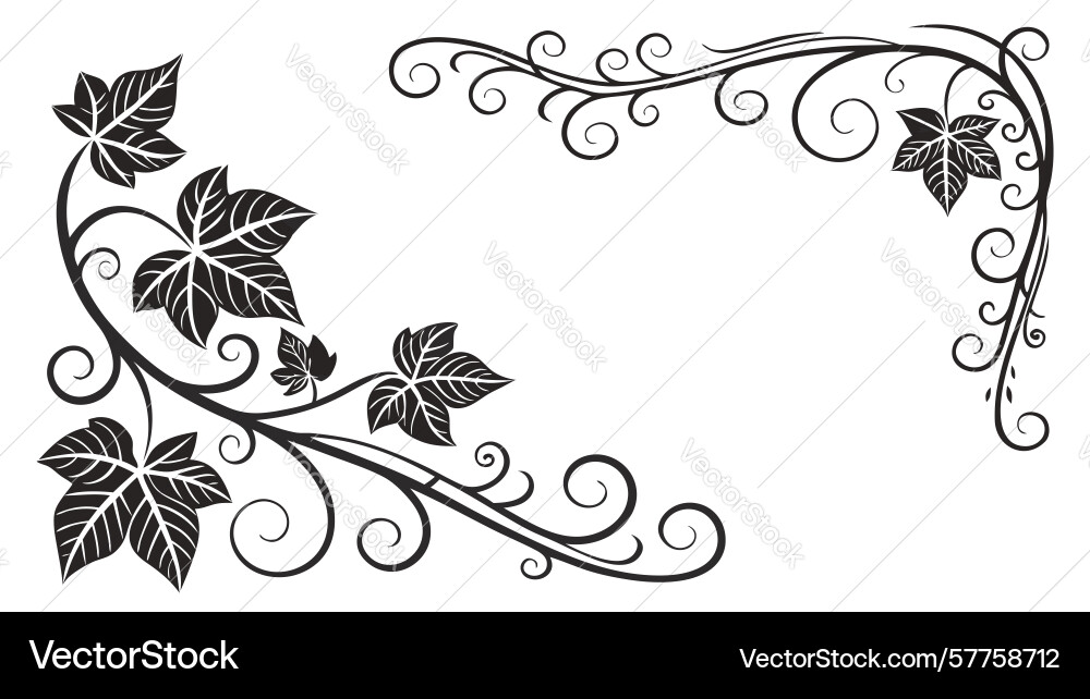 Grape vine corner decorative element design Vector Image