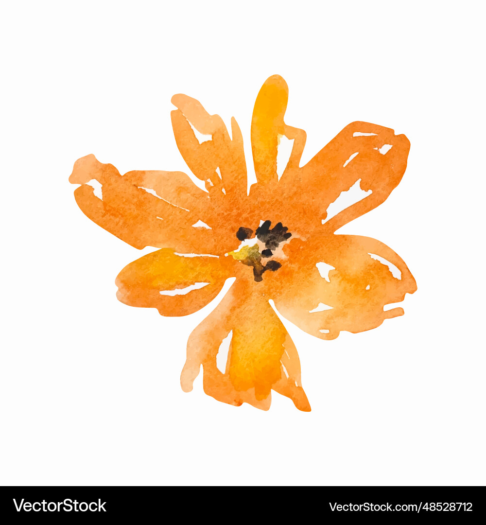 Watercolor Orange Blossom Vector Image