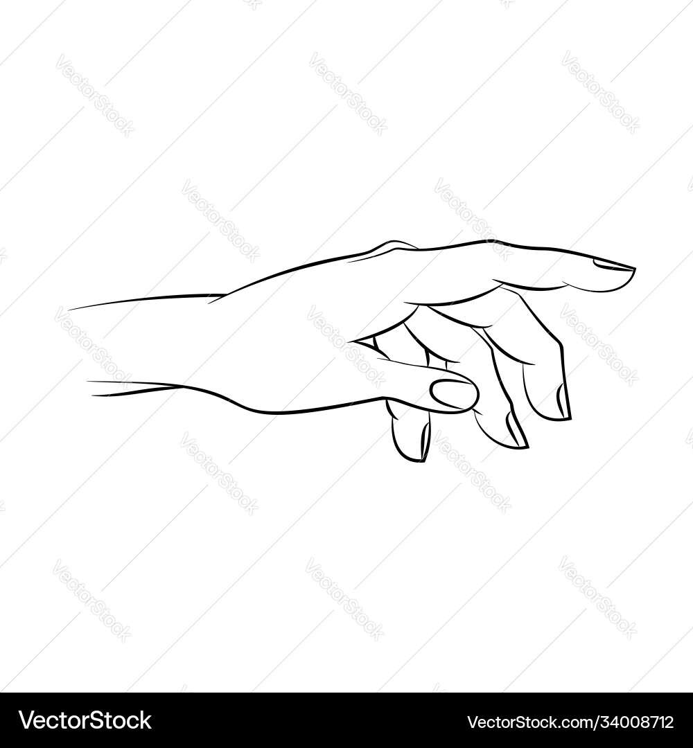 Woman hand outline drawing Royalty Free Vector Image