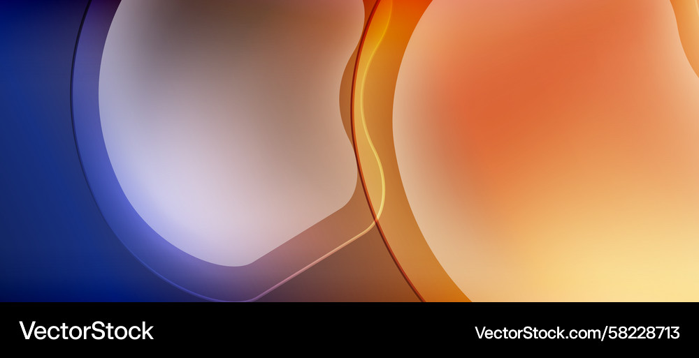 Fluid Color Gradient Shapes Vector Image