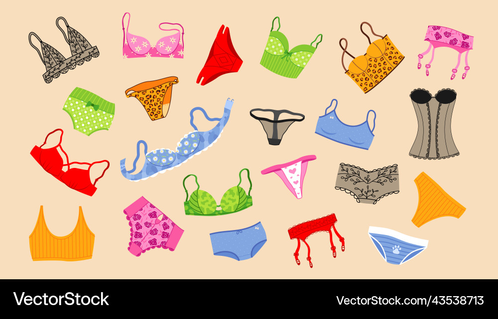 Lace underwear lingerie bra and thong elegance Lace underwear lingerie bra and thong elegance vector image