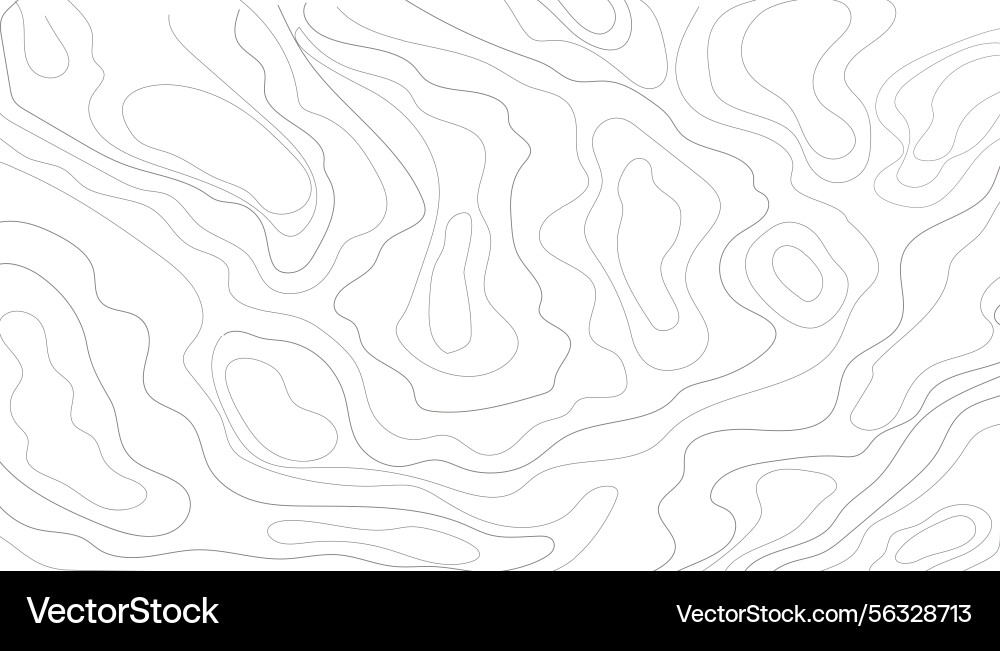 Topography map line contour territory abstract Topography map line contour territory abstract vector image