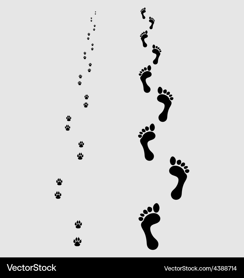 Man and Dog Footprints vector image
