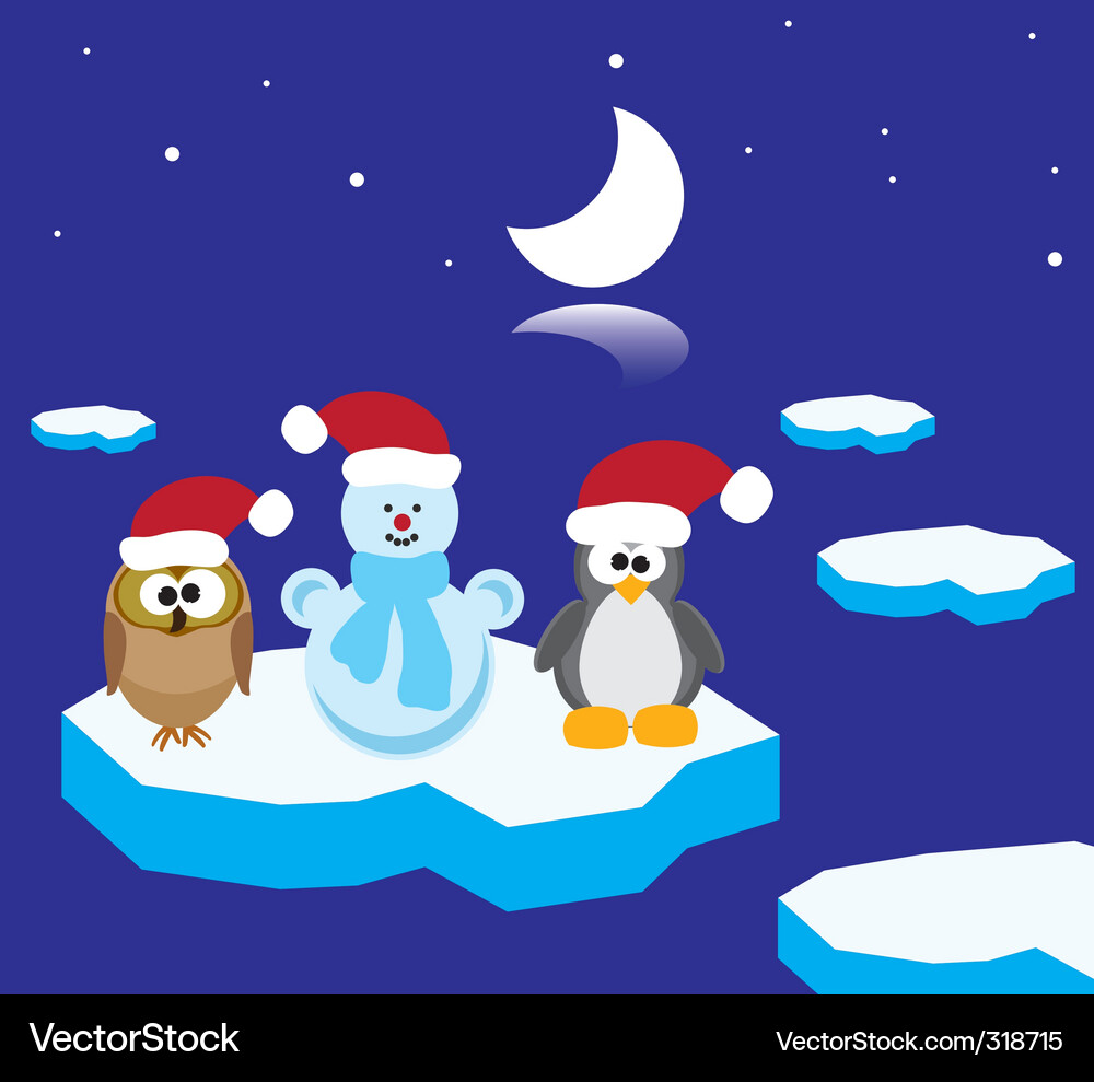 Owl Pinguin und Schneemann Vektorbild