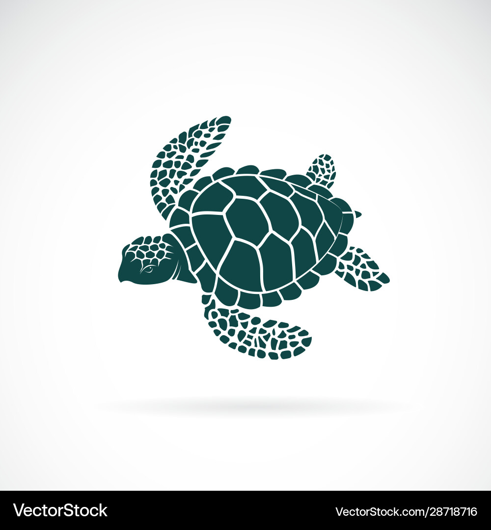 Schildkröte Design auf einem weißen Hintergrund wild Tiere Schildkröte Design auf einem weißen Hintergrund wild Tiere vektorbild