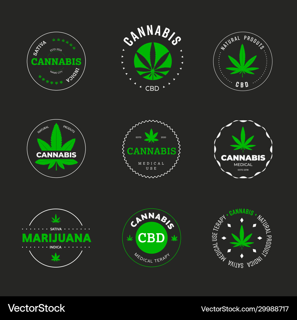 Label design with marijuana leaf template vector image