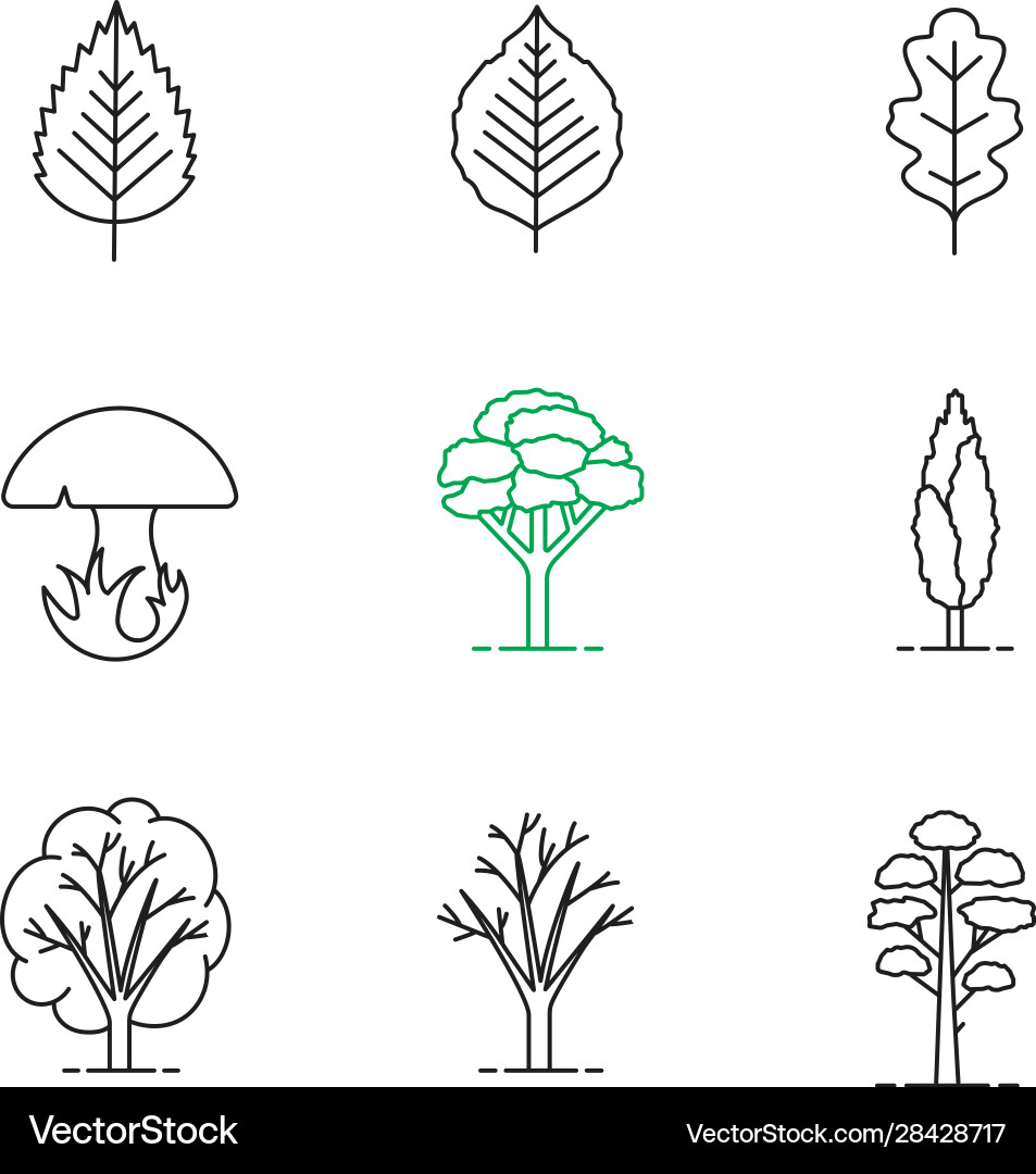 Tree Line Icons - Forest & Botanical vector image