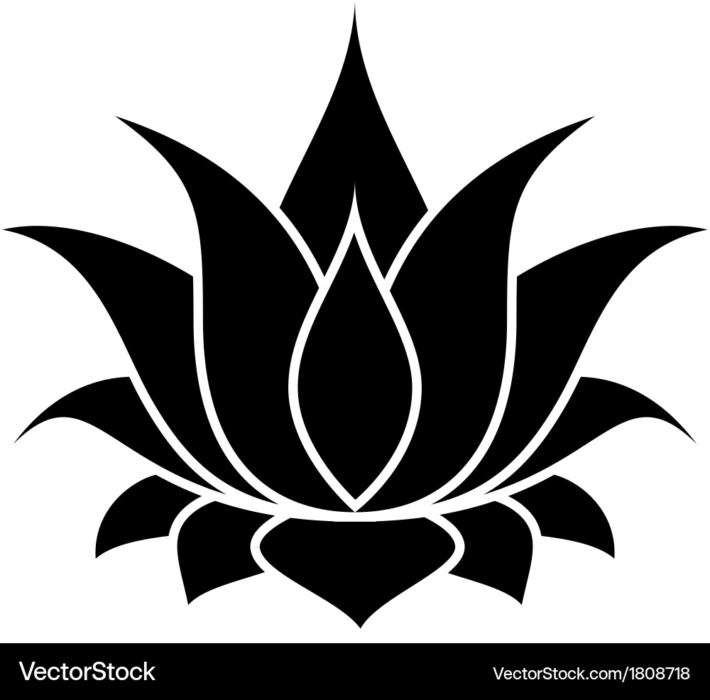 Lotus flower Royalty Free Vector Image - VectorStock