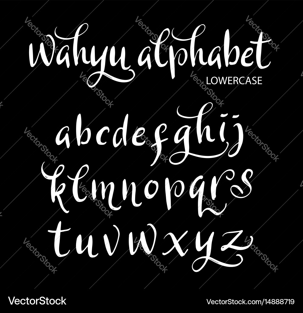 Elegant Wahyu Script vector image