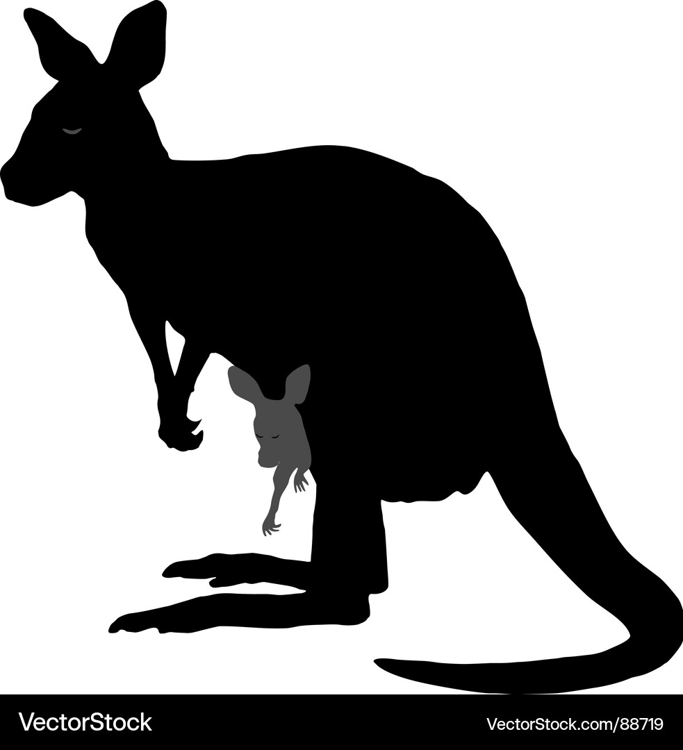 Kangaroo and Joey Portrait Vector Image