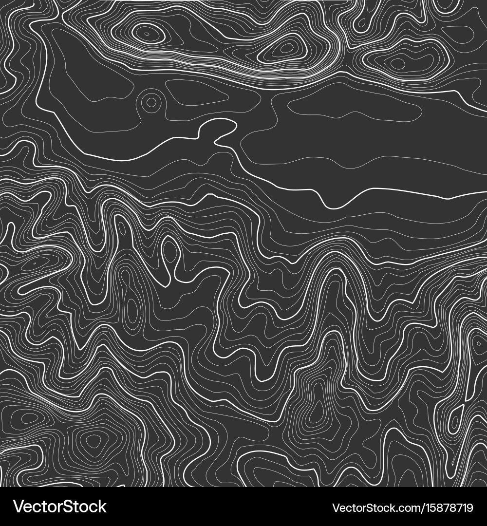 Topographic map background with space for copy Vector Image