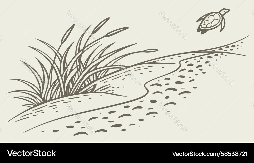 Coastal Dune Scene with Turtle Vector Image