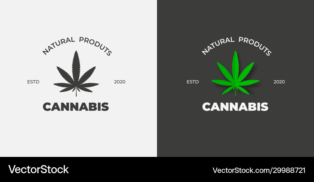 Grafisches Etikett mit einem grünen Blatt Marihuana Grafisches Etikett mit einem grünen Blatt Marihuana vektorbild