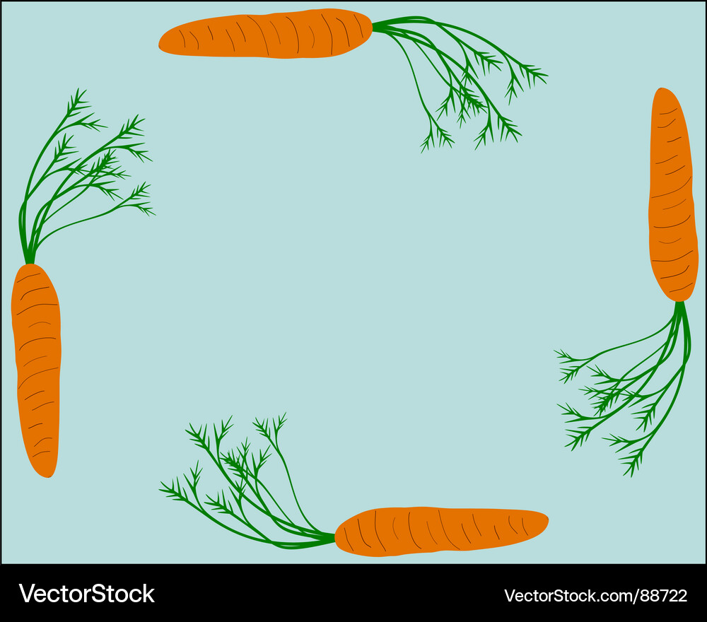 Carrot Frame - Vegetable Border Vector Image