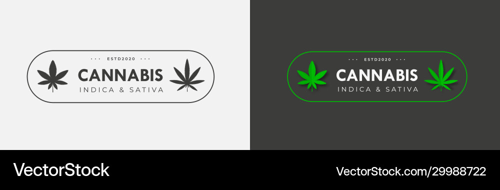 Emblem Vorlage mit Bio Hanf sbd und thc Emblem Vorlage mit Bio Hanf sbd und thc vektorbild