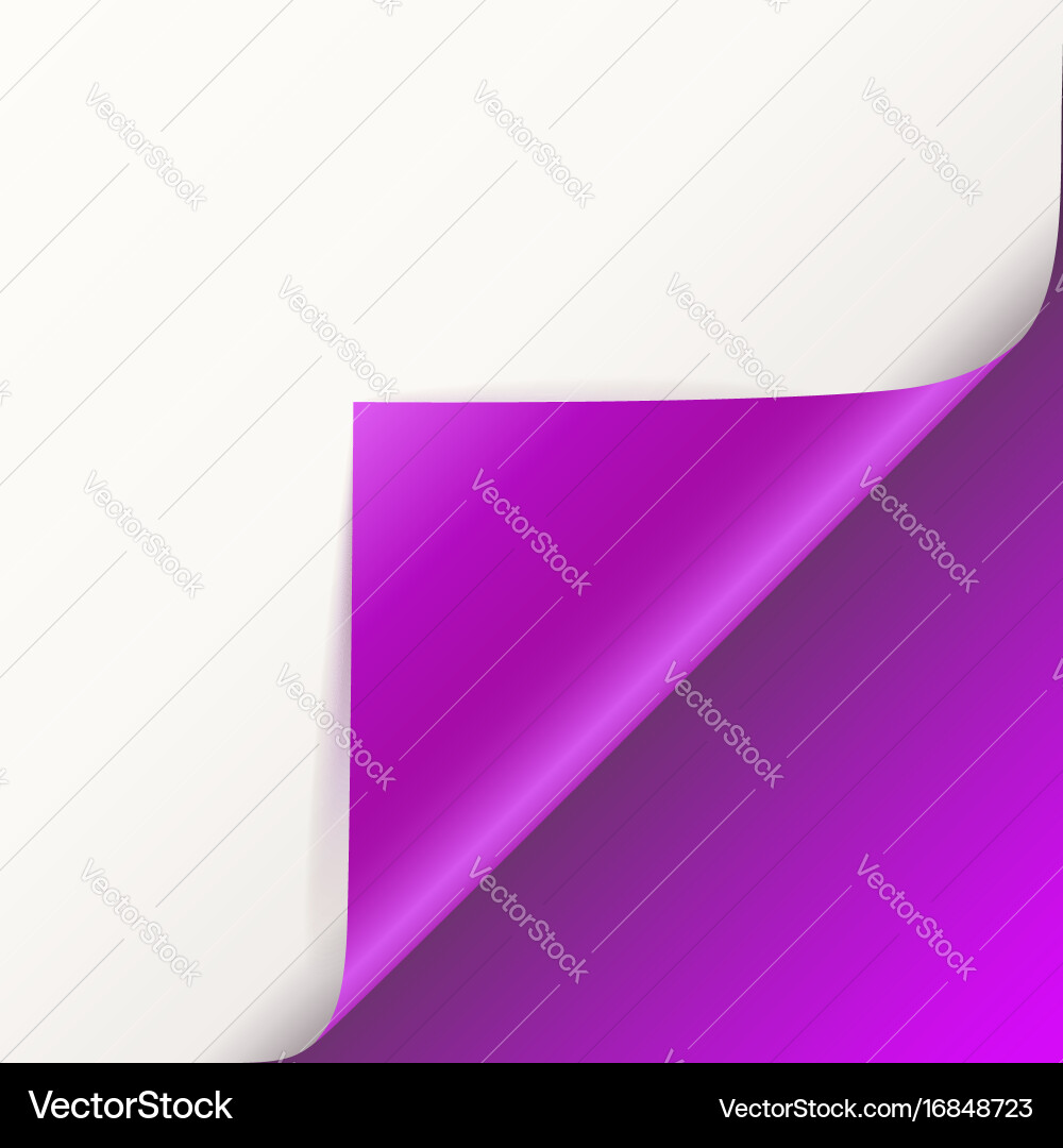 Page curl with shadow on blank sheet of paper Vector Image