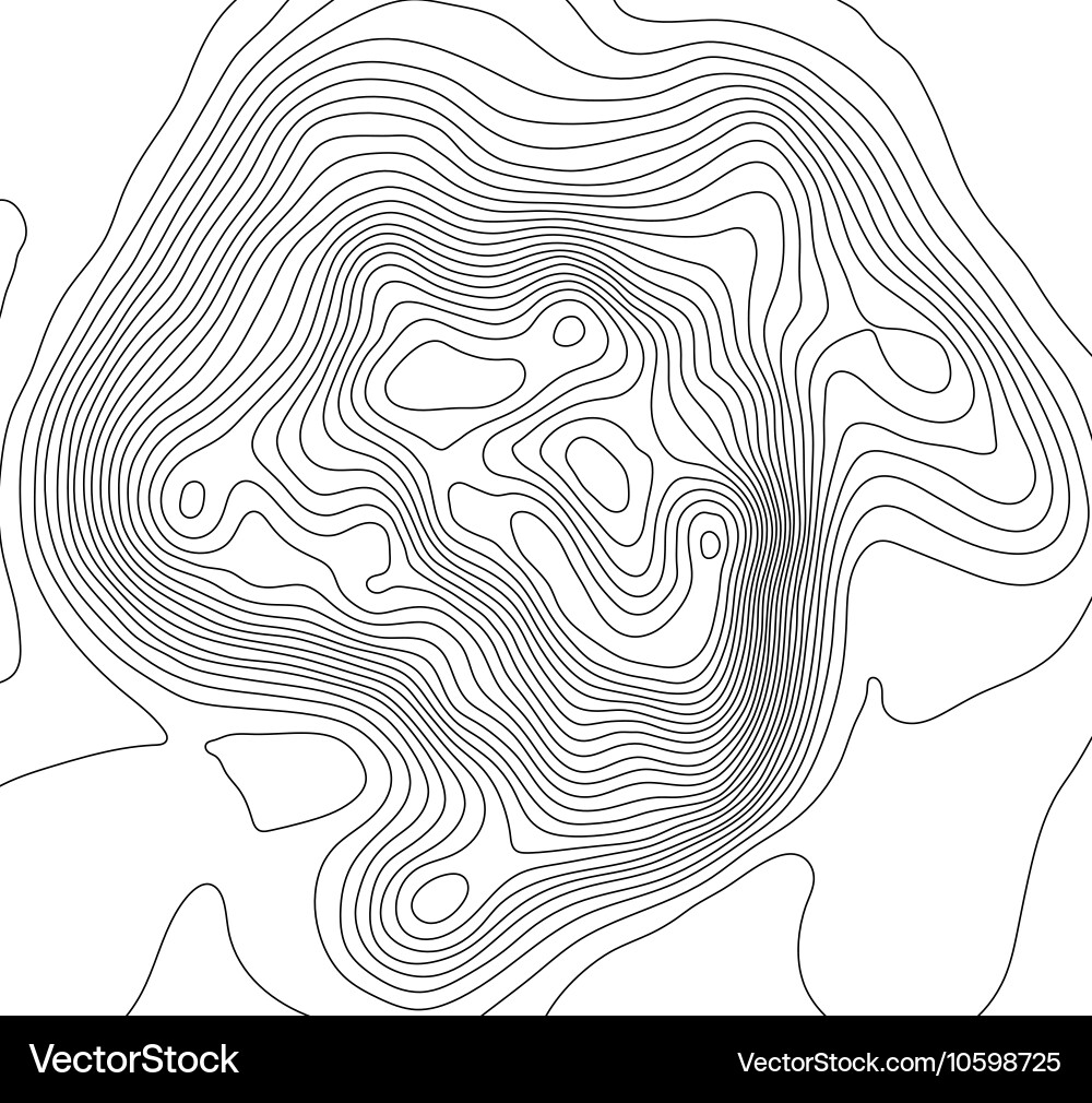 Abstract Topographic Map Background vector image