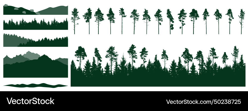 Set of forest element pine trees beautiful Set of forest element pine trees beautiful vector image