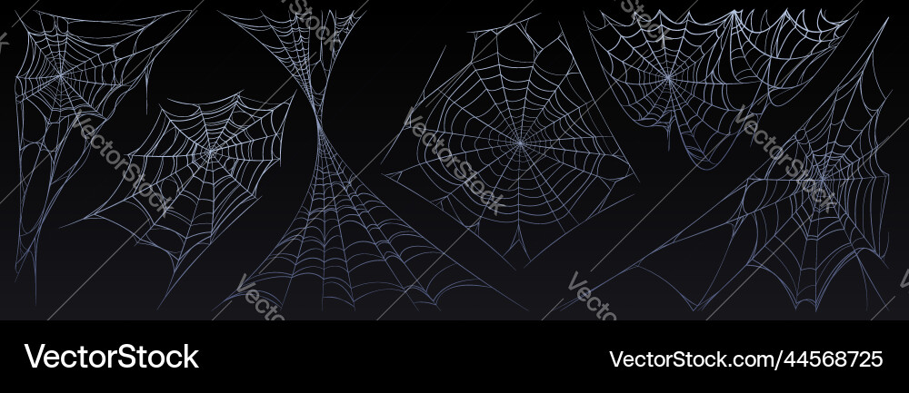 Spider web halloween cobweb spooky insect net Spider web halloween cobweb spooky insect net vector image