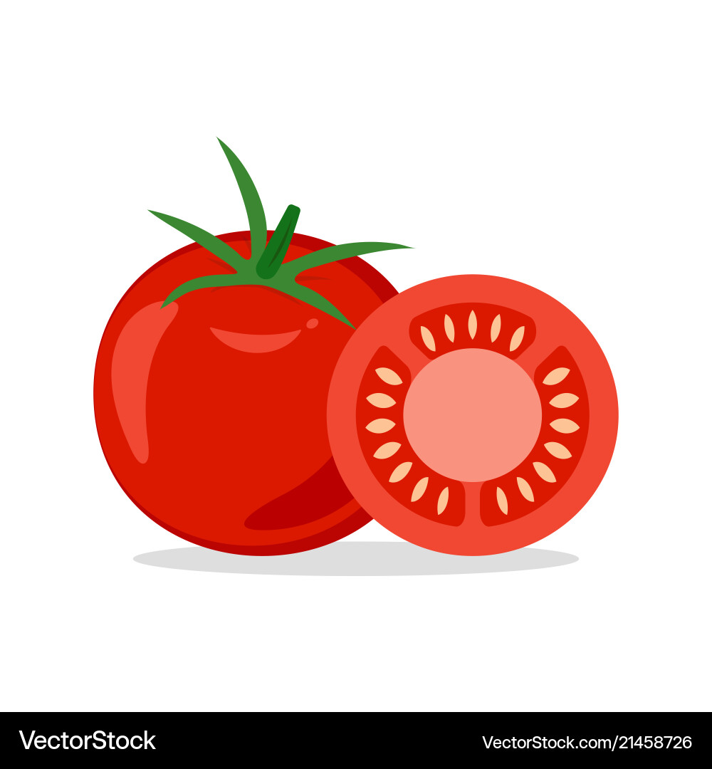 Tomato and slice Royalty Free Vector Image - VectorStock