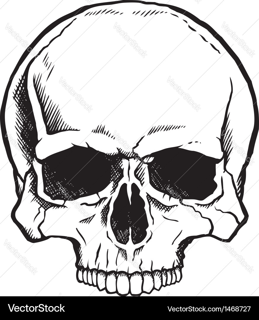 Detailed Black and White Skull Vector Image