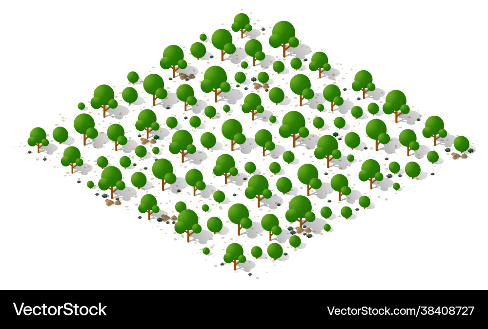 Nature forest landscape isometric Vector Image