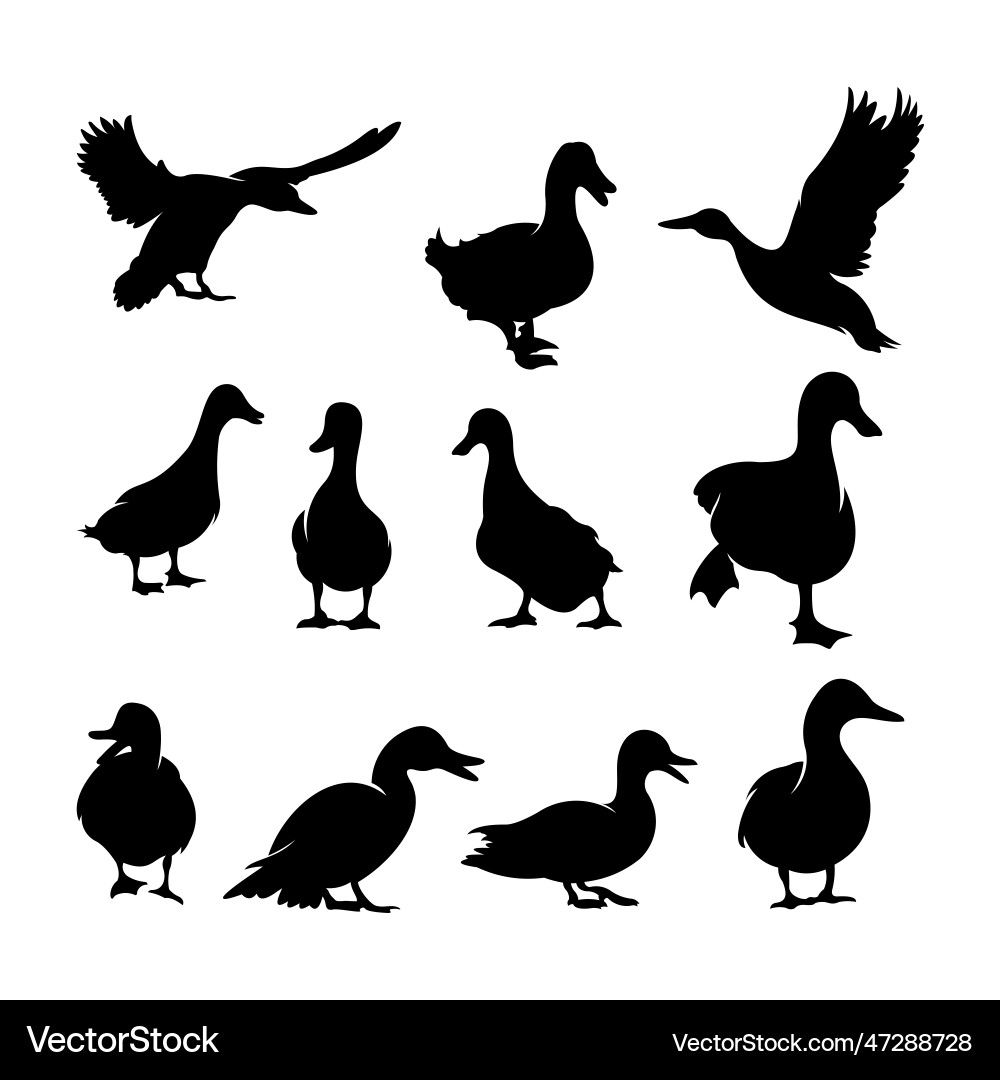 Art Art Vector Image