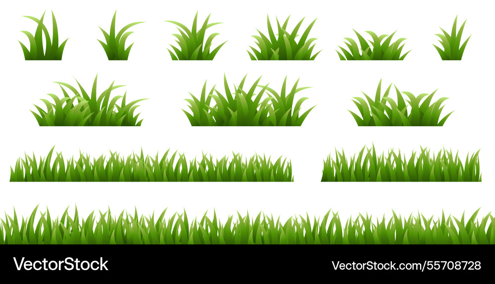 Grass Grenzen gesetzt isoliert weiß Hintergrund Grass Grenzen gesetzt isoliert weiß Hintergrund vektorbild