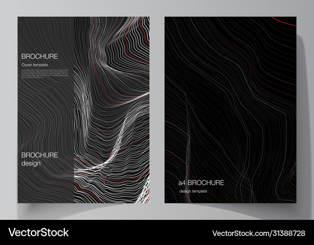 Layout a4 format modern Layout a4 format modern vector image
