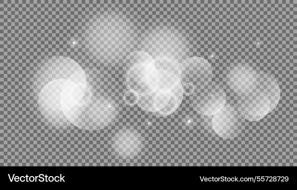 Bokeh circles on transparent background vector image