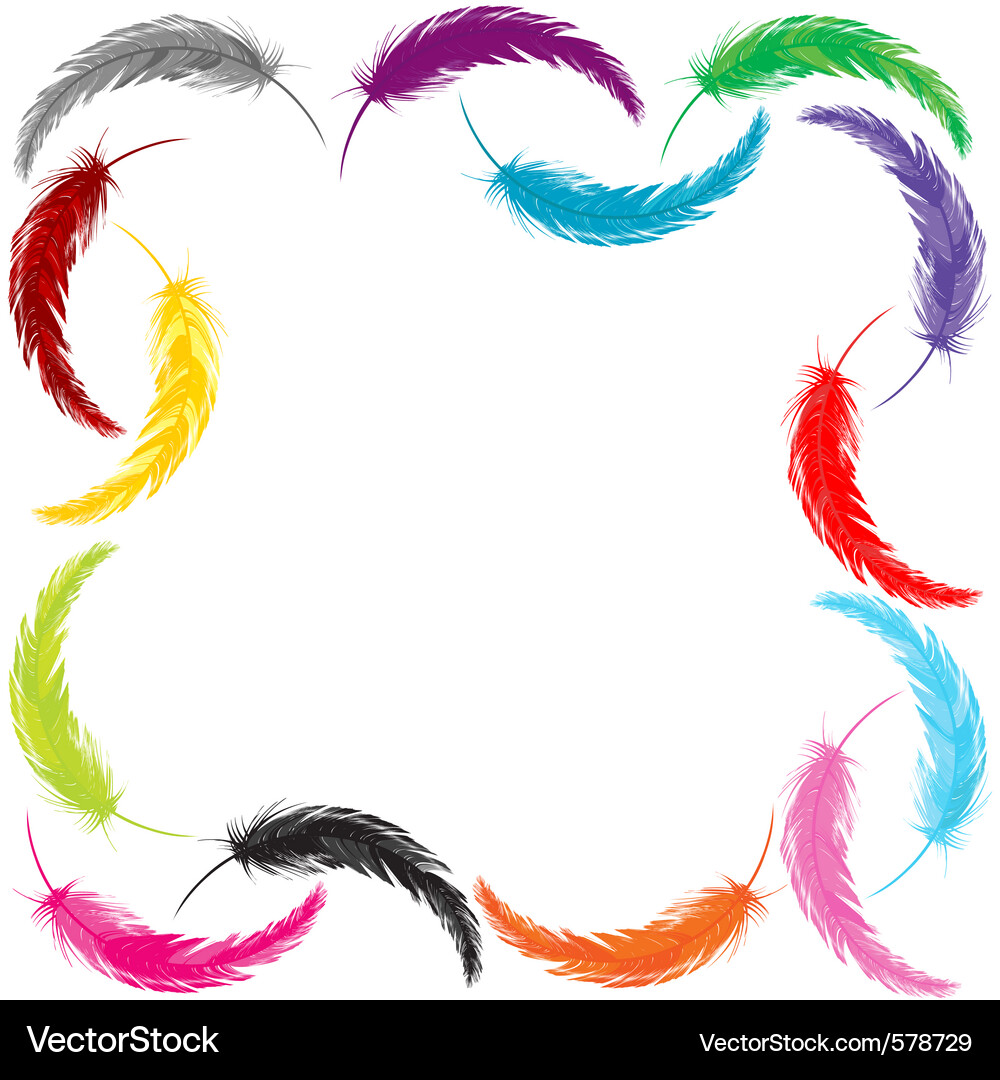 Frame feathers Vector Image