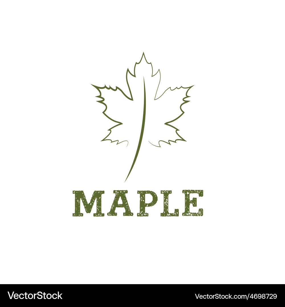 Maple leaf design template Royalty Free Vector Image